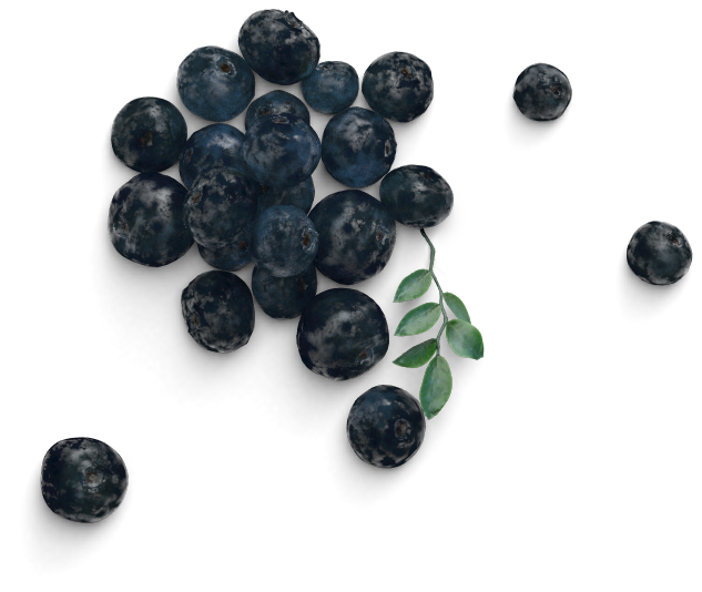 Keto Blueberry Pile