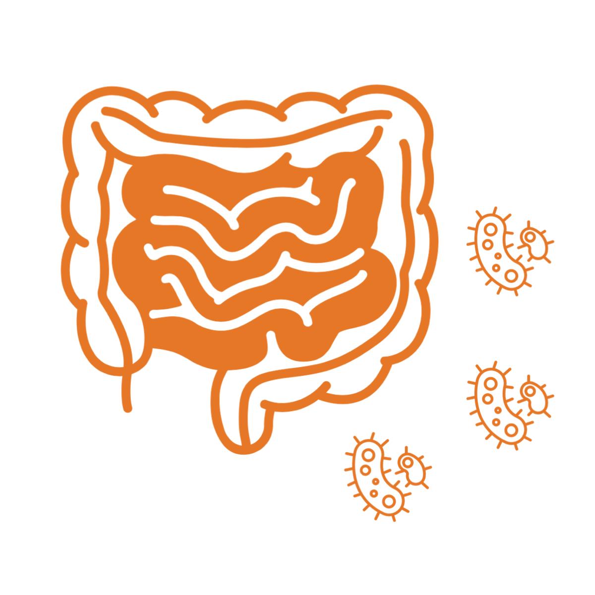 noun_intestine_3842026 copy
