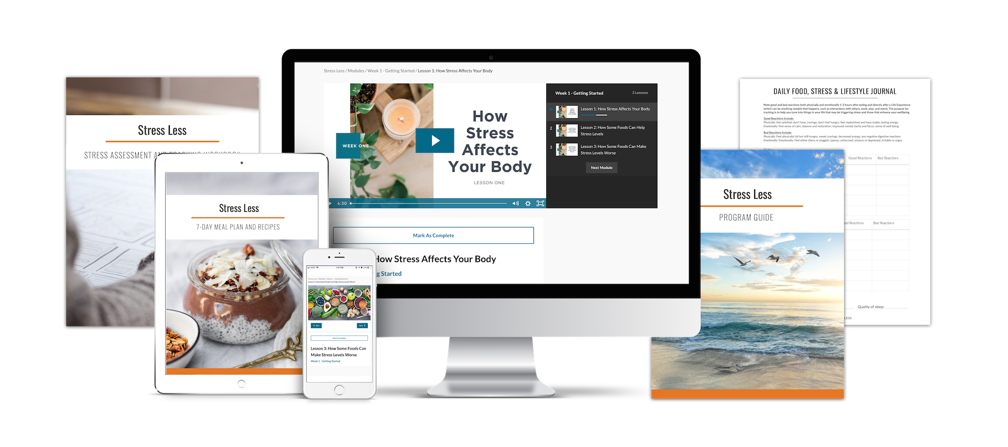 Stress Less Program Introduction
